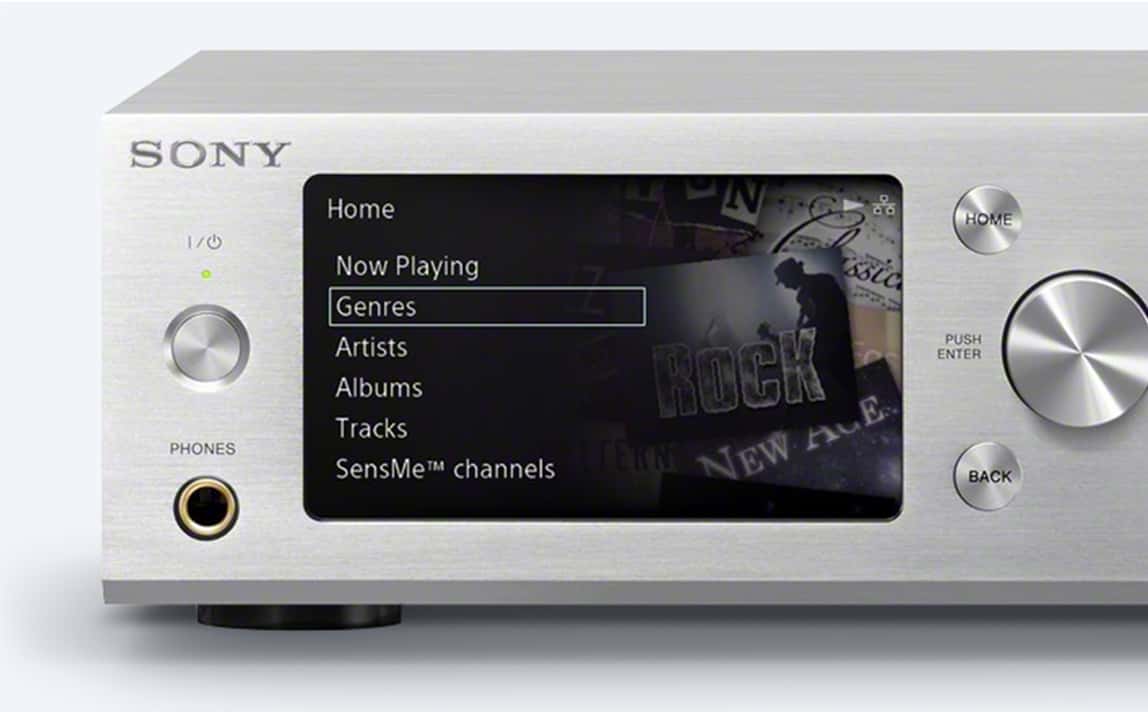 ◯カスタム◯ SONY HAP-S1 つるさ オーディオプレーヤー 1TB HDD 